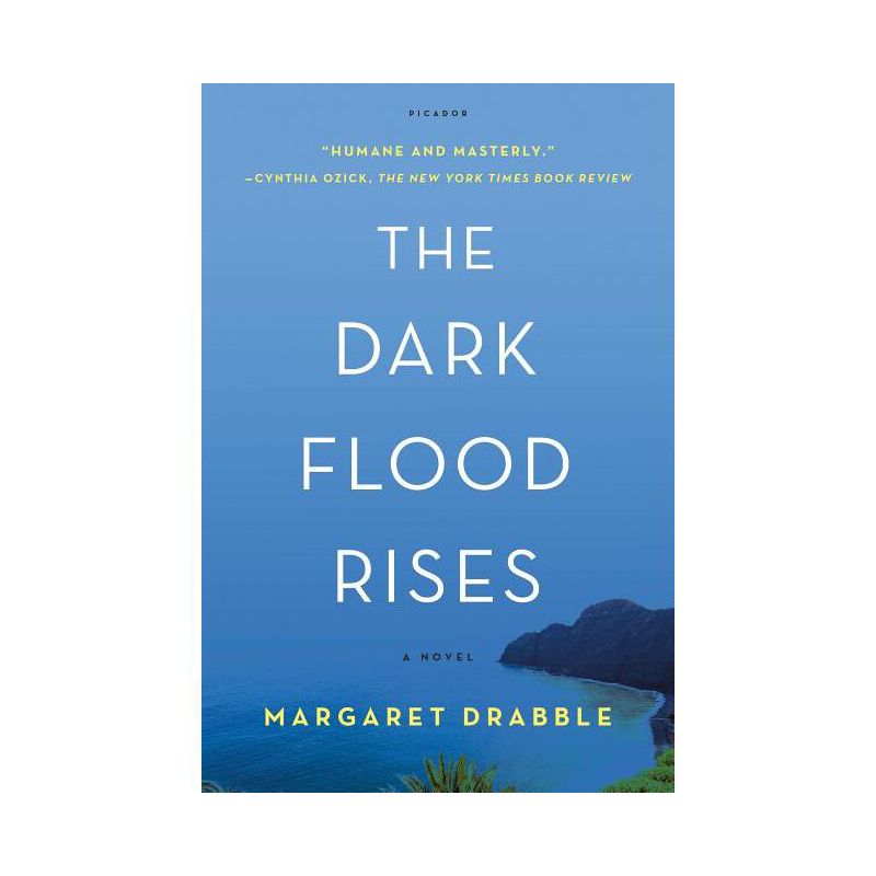 Dark Flood Rises - by  Margaret Drabble (Paperback), 1 of 2