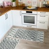 Sussexhome Non Skid Cotton Washable Kitchen Runner Rugs Set of  44 x 24 and 31.5 x 20 inches Throw Rug Set - image 2 of 4