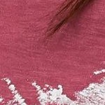 burgundy rose heart