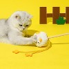 ZEZE Chick Cat Teaser Wand - 4 of 4