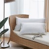 Down Home | 85/15 Featherloft Pillow Single pack King - 2 of 4