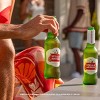Stella Artois Premium Lager Beer - 24ct/7 fl oz Bottles - 4 of 4