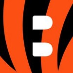 cincinnati bengals