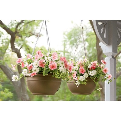 Terra Cotta Self-Watering Outdoor Hanging Planter, 12-Inch Diameter