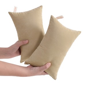 2 Pack Microfiber Toddler Pillows, Soft Down Alternative Travel Pillows - NTBAY - 1 of 4