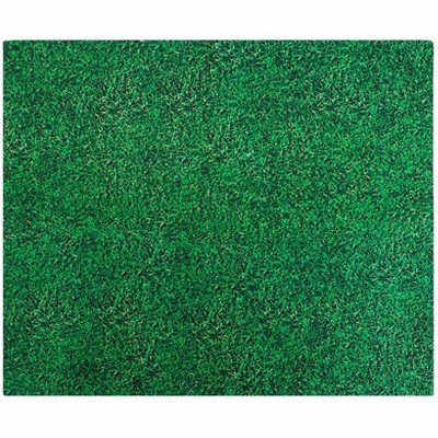 Drymate Drymate Potty Pad Green Grass