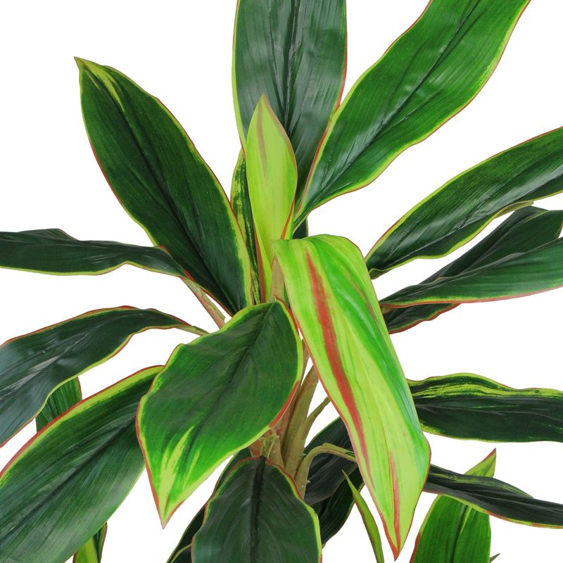 Northlight Real Touch™️ Green and Red Artificial Potted Two Tone Dracaena Plant - 4.5', 2 of 7