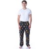 Harry Potter Adult Men's Hogwarts 4 House Crests Loungewear Pajama Pants Black - 2 of 4