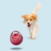 BARK Super Chewer Vino Vidi Vici Dog Treat Dispenser Toy - 3 of 4