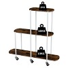 Artloge 3 Tier Plant Stand Tall Rolling Rack Vintage Indoor Plant Flower Holder with Lockable Casters for Patio Porch Garden Balcony Living Room - 4 of 4