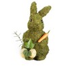 Spring Woodland Forest Home Collection - 3 of 4
