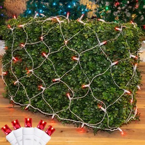 Novelty Lights 4x6 Net Lights, 100 LEDs with 4 Inch Spacing, 5mm Wide Angle Bulbs, Connectable End To End, Indoor/Outdoor - 1 of 4