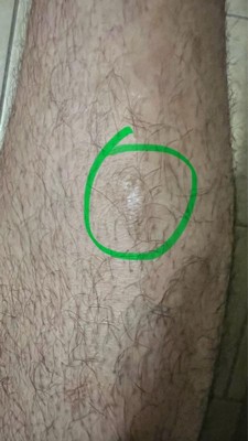 Guest review image 4 of 4, zoom in