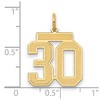 Black Bow Jewelry 14k Yellow Gold, Jersey Collection, Medium Number 30 Pendant - 2 of 3
