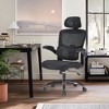 Infurnic Task and Office Chairs, Office Chair with Adjustable Lumbar Support, High Back Chair for Home and Office, Black, 16.14"*19.49"*47" - 2 of 4