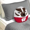 NCAA Wisconsin Badgers 16"x16" Plushie Mascot Pillow - 2 of 3