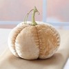 The Lakeside Collection Cream and Gold Harvest Decor - 3 of 4