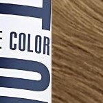 9.31 very light golden ash blonde