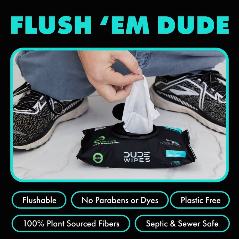 Dude Wipes Mint Chill Flushable Wipes - 3pk/48ct, 5 of 10