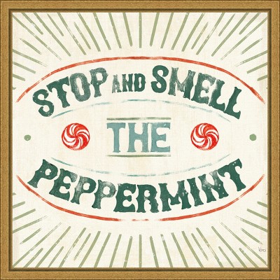 Amanti Art Holiday Likeness IX (Peppermint) by Veronique Charron Canvas Wall Art Print Framed 16 x 16-in.