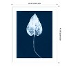 Amanti Art Cyanotype Leaf III by Jason Johnson Wood Framed Wall Art Print - 4 of 4