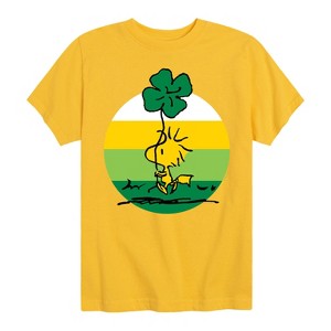 Boys' - Peanuts - Woodstock Shamrock Short Sleeve Graphic T-Shirt - 1 of 4