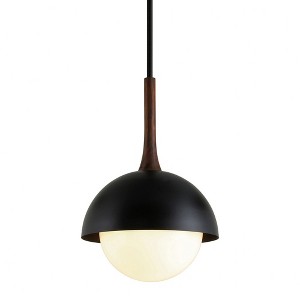 Troy Lighting Cadet 1 - Light Pendant in  Black White Shade - 1 of 1