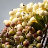Sullivans Artificial Neutral Berry Stem Set of 2, 14" Brown - 2 of 3