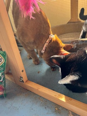 Guest review image 3 of 4, zoom in