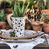 Jollity & Co. - Femme 12 oz Cups - Pack of 8 Paper Cups - 2 of 2