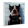 Stupell Industries Boston Terrier Jail Convicted Mugshot, 12" x 12" - 3 of 4