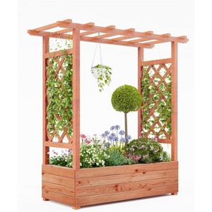 Raised Garden Bed with Trellis, Hanging Roof, and 4 Drainage Holes, Freestanding Elevated Garden Bed for Climbing Plants, Vines, Flowers - 1 of 4
