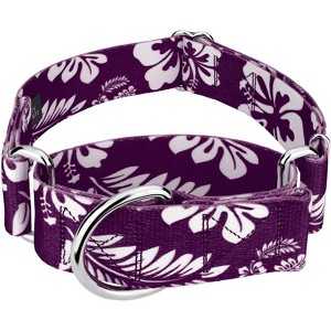 Country Brook Petz 1 1/2 Inch Martingale Dog Collar - Summer Breeze Collection - 1 of 4