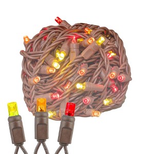 Novelty Lights 50 Light LED Christmas Mini Light Set (Brown Wire, 25 Feet) - 1 of 4