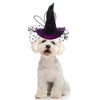 Unique Bargains Halloween Pet Headwear 5.12"x5.91" Purple 1 Pc - 2 of 4