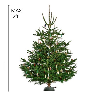 Green Deluxe Christmas Tree Stand with Water Tank and Foot Pedal