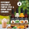 Syruvia Variety Pack - Peppermint, Gingerbread, Pumpkin Spice & Brown Sugar Cinnamon Syrup 25.4 Fl oz (4-Pack) - 2 of 4