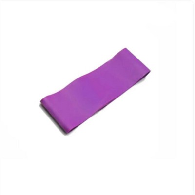 Wikineon Resistance Bands Sealing Elastic Booty Sport Bodybuilding Rubber Band For Fitness Gym Leagues Equipment Sports Mini Yoga,Purple