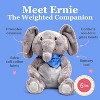 Lilly's Love Weighted Stuffed Animal, Sensory Plush Fluffy Toy for Kids & Adults - 2 of 4