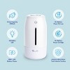 LivePure Cool Mist Humidifiers  w/ Quiet Operation, USB-C Rechargeable. - 4 of 4