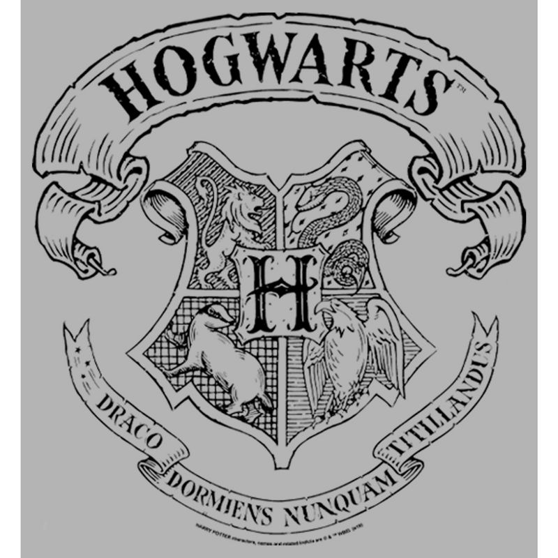 Men's Harry Potter Hogwarts 4 House Crest Pull Over Hoodie, 2 of 5
