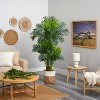 HomeStock  6 ft. Artificial Palm Tree in Planter for Indoor/Outdoor - 4 of 4