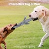 Itopfox No Stuffing Squeaky Crinkle Plush Dog Toys for Aggressive Chewers, Puppy Teething Toys for Small, Medium, Large Breed, Cute Bunny & Redfox - 2 of 4