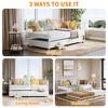 Twin Metal Daybed with Trundle, Premium Steel Slat Support, Space Saving Trundle Sofa Bed for Living Room, Bedroom and Guest Room, Black - 3 of 4