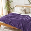 Inhand Flannel Throw Blanket, 50”x60” Super Soft Fuzzy Blanket for Couch Sofa Bed Office, Cozy Plush Lightweight Blanket Throw Size - 4 of 4