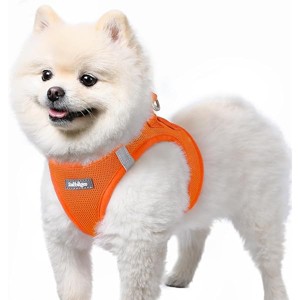 rabbitgoo Small Dog Harness, Step-in Soft Mesh Reflective Pet Harness for Small Sized Dogs, Orange S - 1 of 1