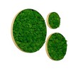 Alilang 24.00 Inch Set of Three Round Moss Wall Art with Natural Green Preserved Moss in Wooden Frames - Green - 4 of 4