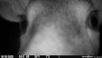 Guest review image 1 of 2, zoom in