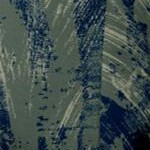 brushstroke camo