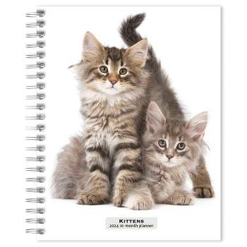 Browntrout 23-2024 Weekly/Monthly Planner 7.5"x7.125" Kittens